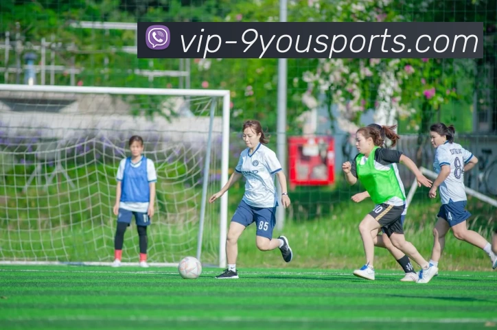 九游体育官网发展历程