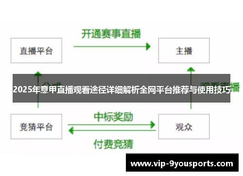 2025年意甲直播观看途径详细解析全网平台推荐与使用技巧