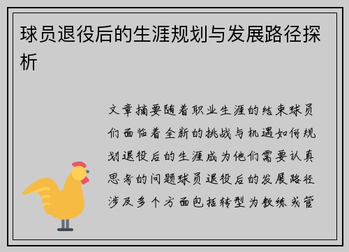 球员退役后的生涯规划与发展路径探析