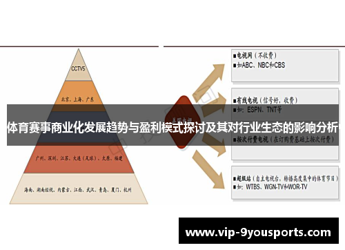 体育赛事商业化发展趋势与盈利模式探讨及其对行业生态的影响分析