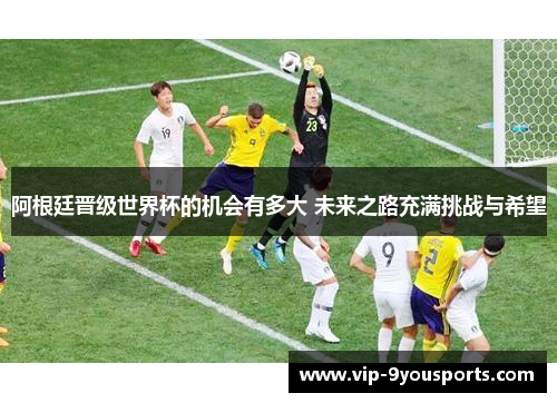 阿根廷晋级世界杯的机会有多大 未来之路充满挑战与希望
