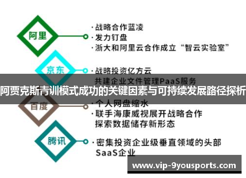 阿贾克斯青训模式成功的关键因素与可持续发展路径探析