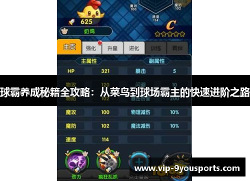 球霸养成秘籍全攻略：从菜鸟到球场霸主的快速进阶之路