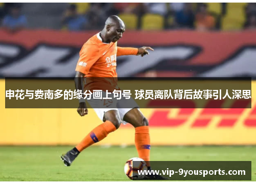 申花与费南多的缘分画上句号 球员离队背后故事引人深思