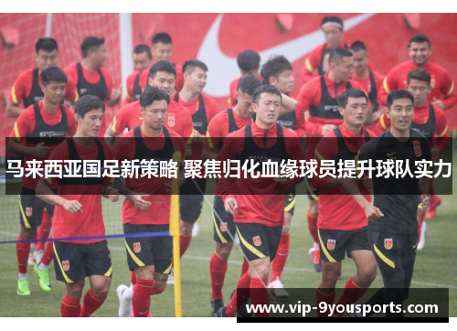 马来西亚国足新策略 聚焦归化血缘球员提升球队实力