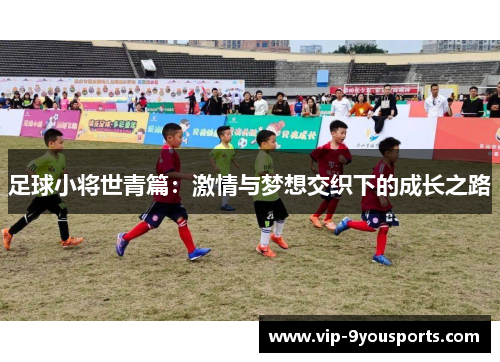 足球小将世青篇：激情与梦想交织下的成长之路